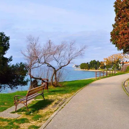 Near Kolovare In Arbanasi *