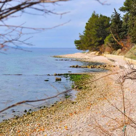 Appartamento Near Kolovare In Arbanasi